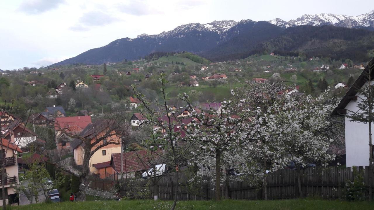 Pensiunea Sarah Bran Bran  Buitenkant foto