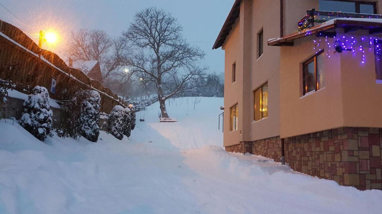 Pensiunea Sarah Bran Bran  Buitenkant foto