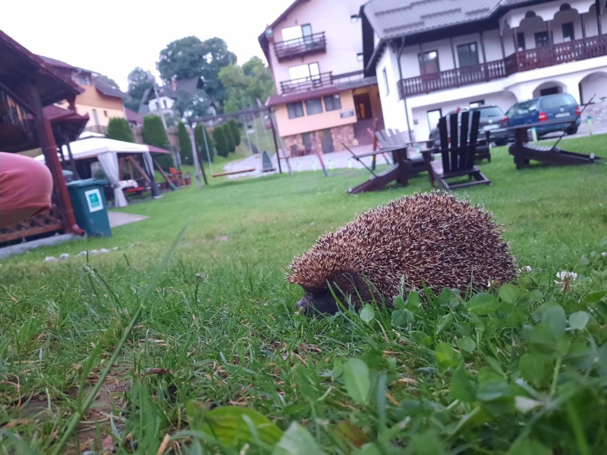 Pensiunea Sarah Bran Bran  Buitenkant foto