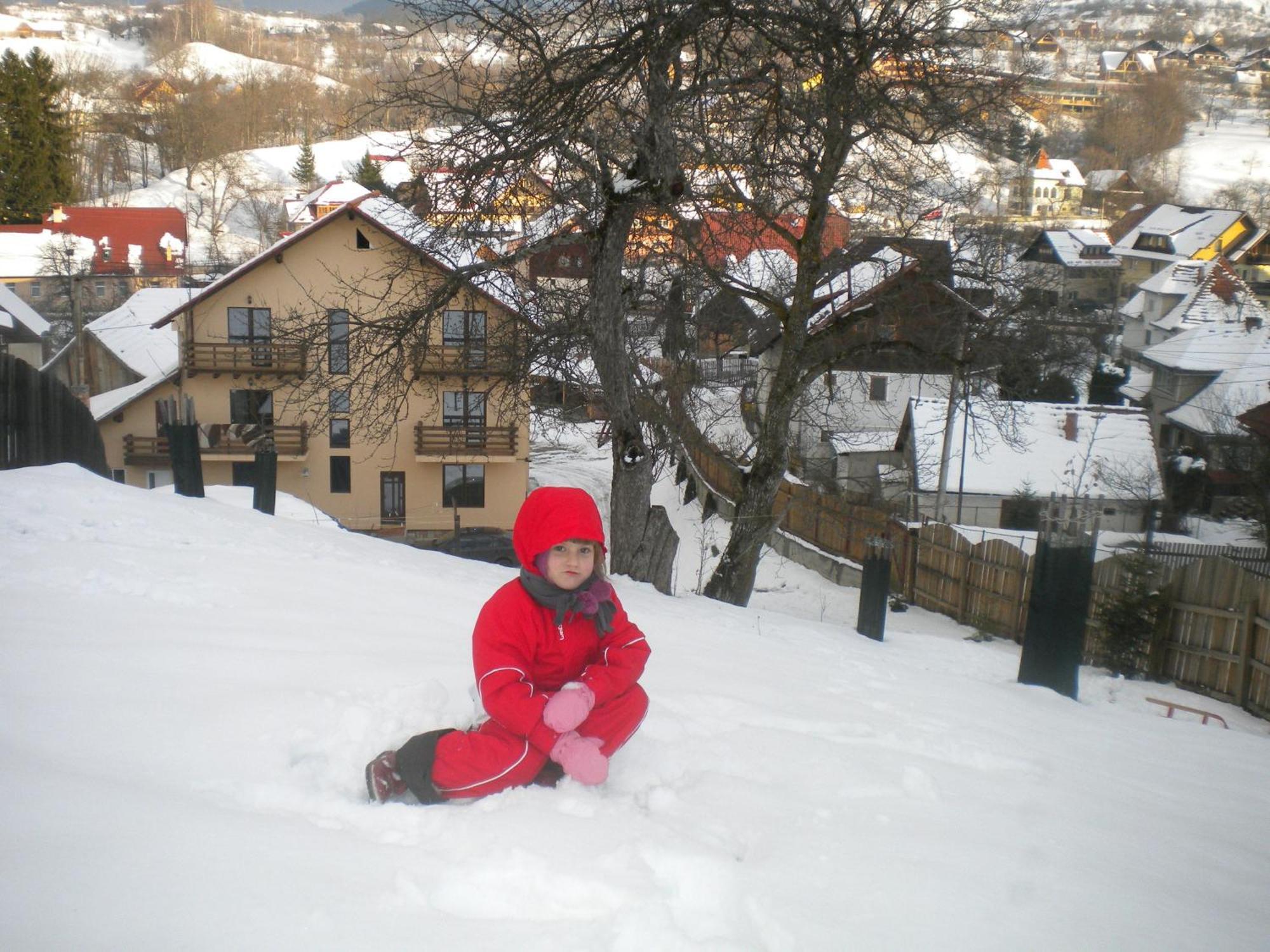 Pensiunea Sarah Bran Bran  Buitenkant foto